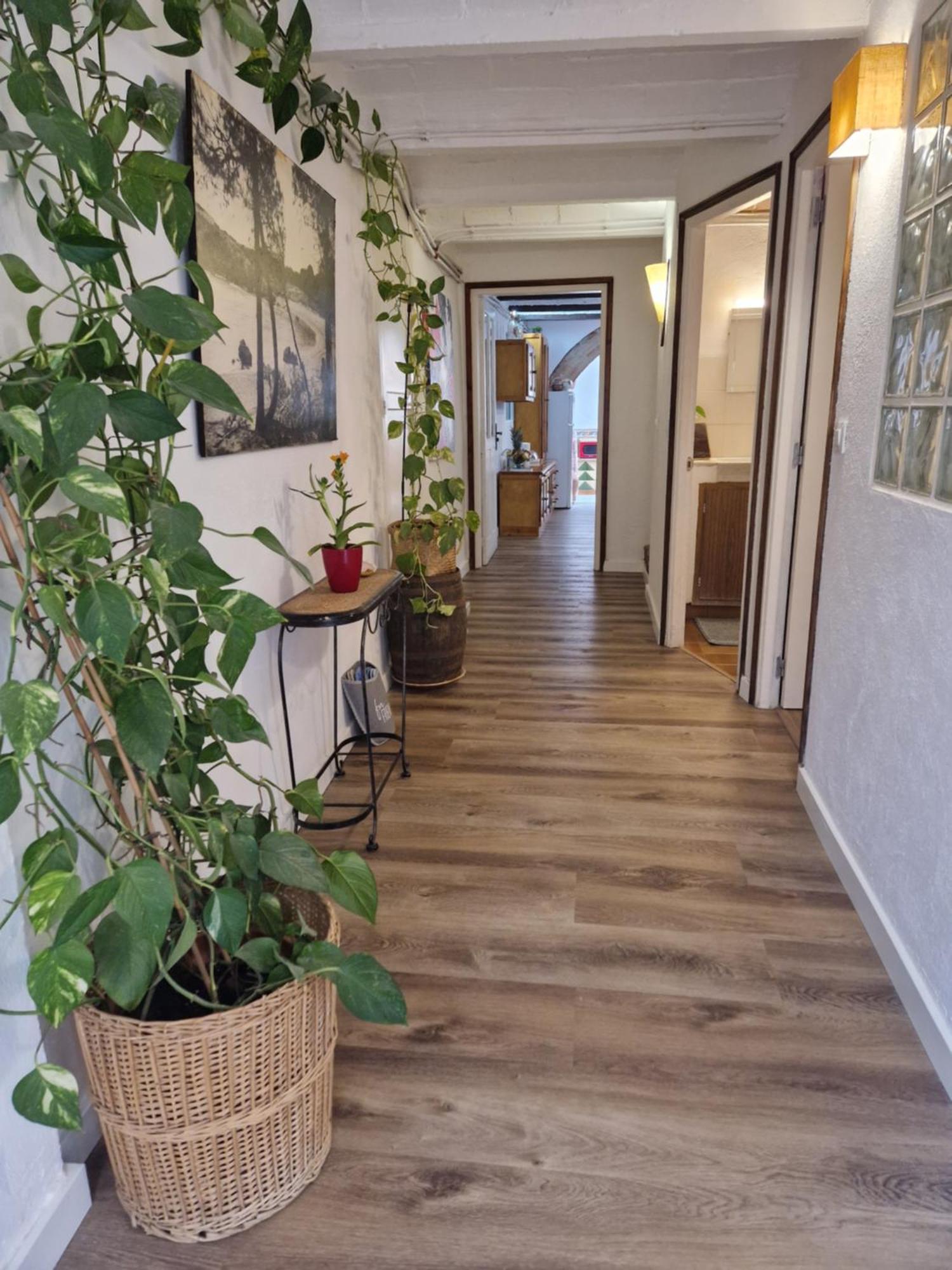 Ca La Teia Apartment Bellcaire d'Emporda Екстериор снимка